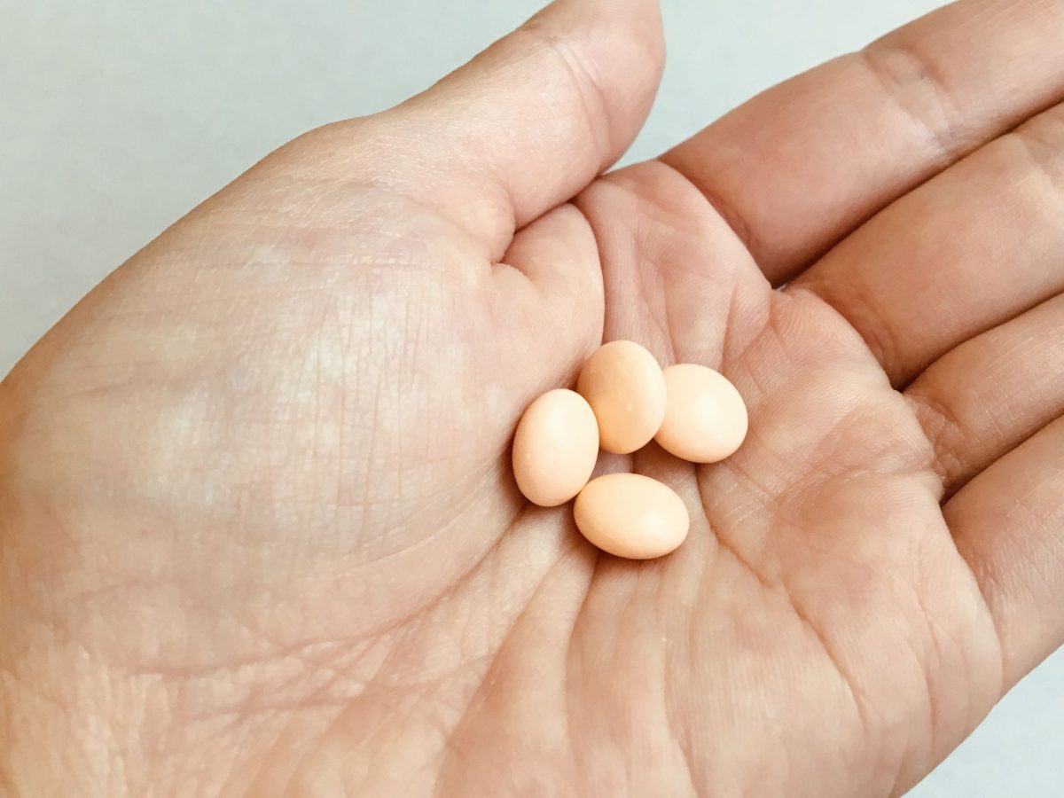 ワイヤー矯正で美しい歯並びを実現する東京で始める大人の歯科矯正体験記